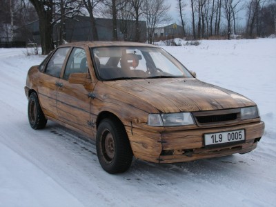 PICT0226 _Zminit velikost.JPG