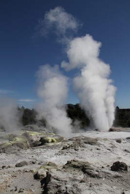 čekání na gejsír v Te Puia