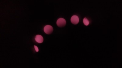 IMG_20161026_064737.jpg