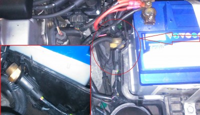DSC_0093mal2.jpg