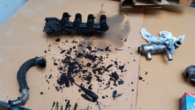 20170503_155450.jpg
