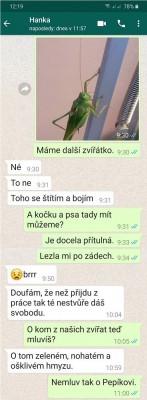 kobylka.jpg