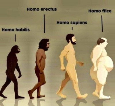 Homo.jpeg