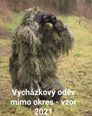 VO.jpeg
