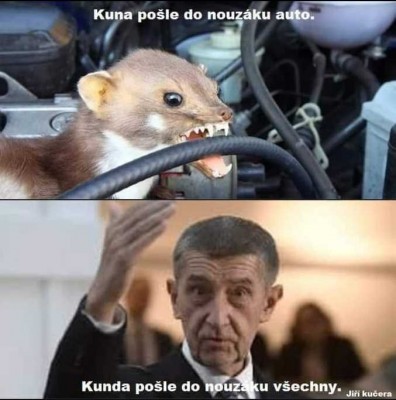 kuna.jpg