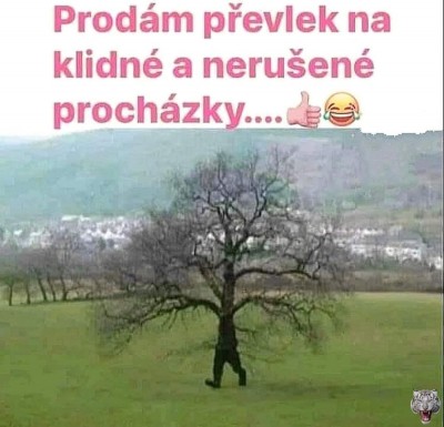 Oblek.jpeg