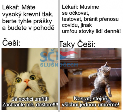 cesi.png