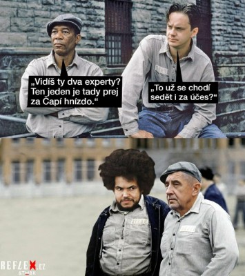 capi hnizdo.jpg