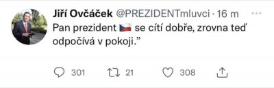 ovcacek.jpeg