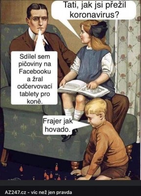 FB_IMG_1635778243552.jpg