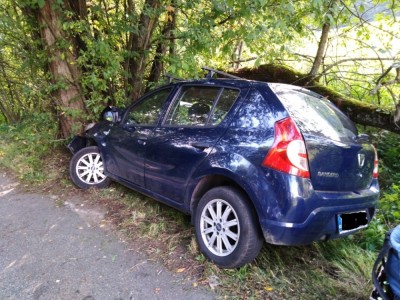 Dacia1.jpg