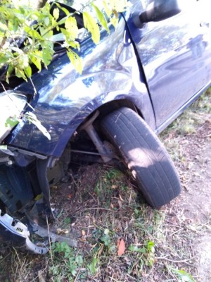 Dacia3.jpg