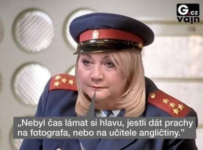 Alca.jpeg