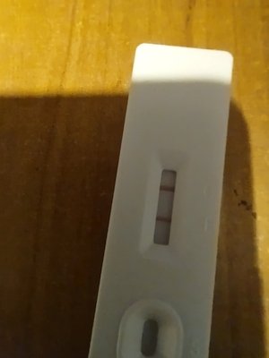 test.jpg