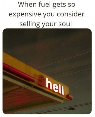 shell.jpeg