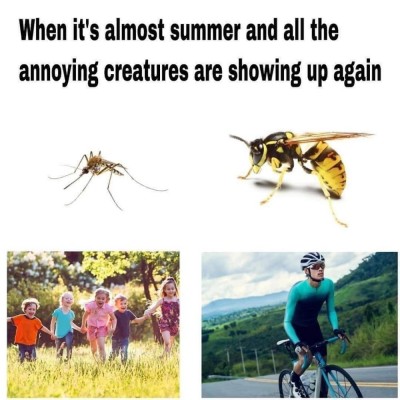 Creatures.jpeg