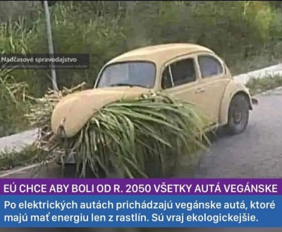 vegan.jpg