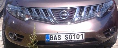 rz_bass0101.jpg