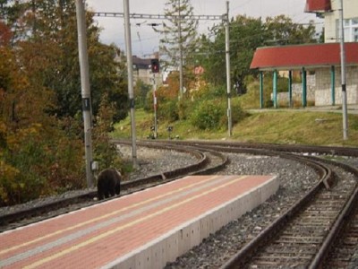 PA070026.JPG