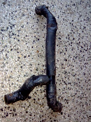 Obraz002.jpg
