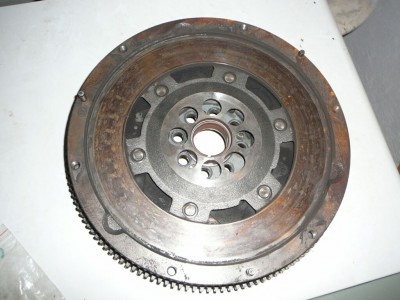 P1090008.jpg