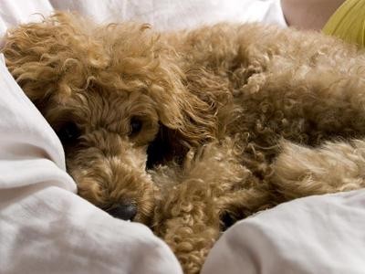 Nutný odpočinek, nevím kde to viděl :-)