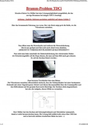 brumm-problemtdci.jpg