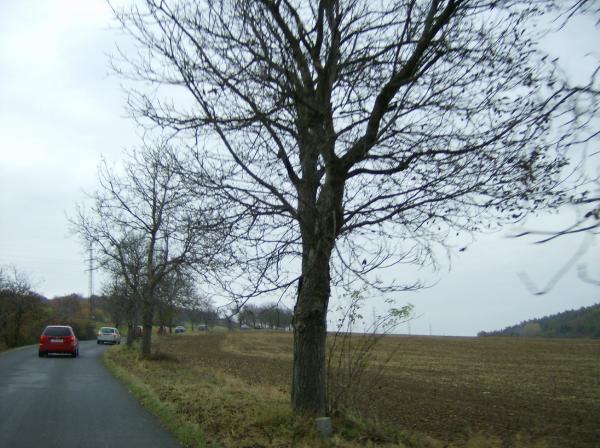 Stoupání doLoděnic