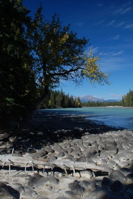Athabaska River __.jpg