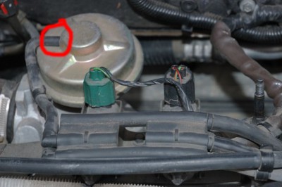EGR-1-Small.jpg