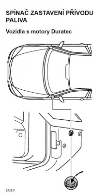Spinac.jpg