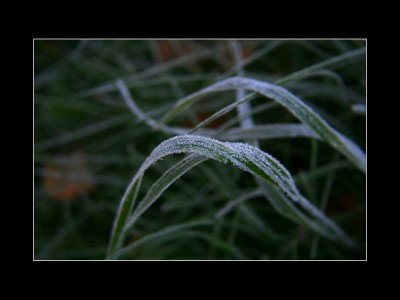 IMG_5900.JPG